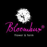!!WELTNEUHEIT!! Nugget® by Bloombux® - flower & form by INKARHO®