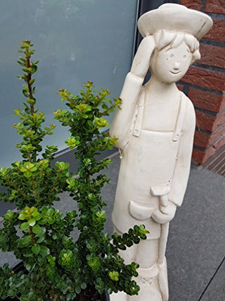 Berg Ilex - Bonsai Ilex Hülse Ilex crenata Mariesii – Pflanze im Verkaufscontainer